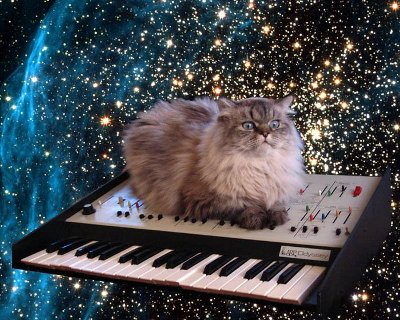 The cat seems to be lost in space... A vaguely audible synth drones in the background.